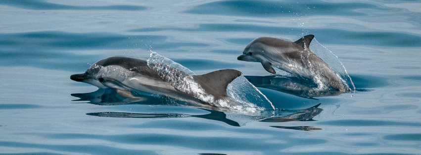 17 bucketlist activiteiten in Europa